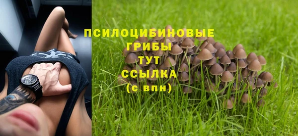 ECSTASY Аркадак
