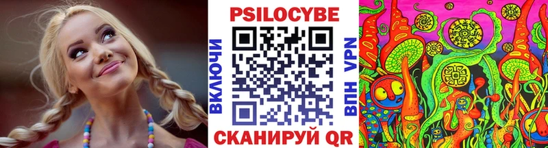 Псилоцибиновые грибы Psilocybe Баймак